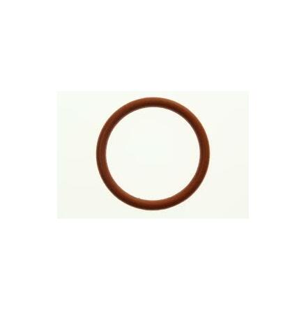O-ring Mercury