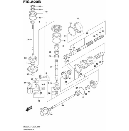 Lsring Suzuki