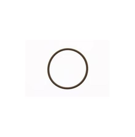 O-ring Mercury