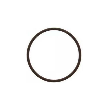 O-ring Mercury