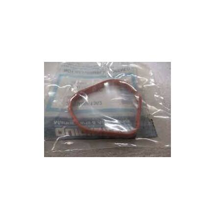 Packning Mercury