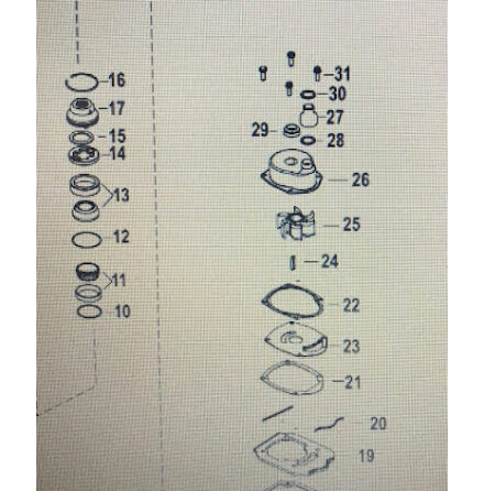 O-ring Mercury