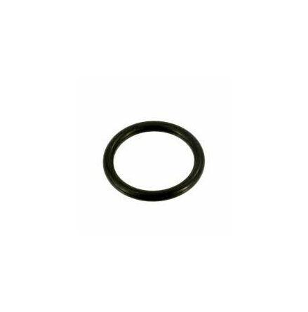 O-ring Mercury